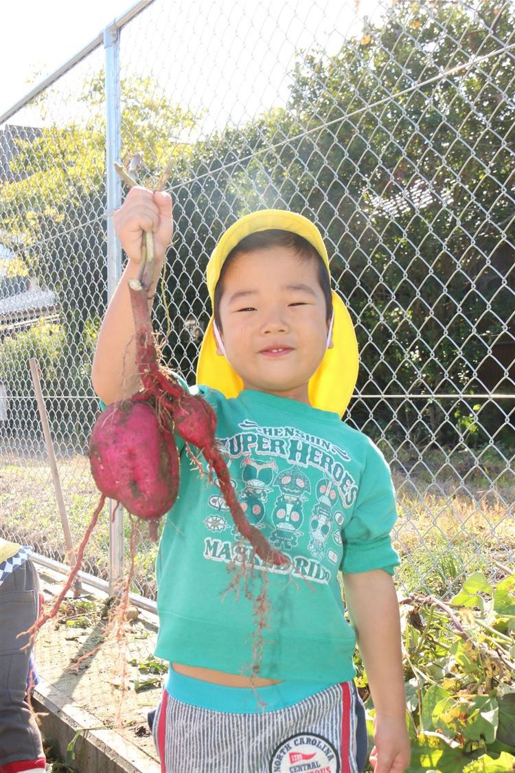 芋ほり1 芋ほり1