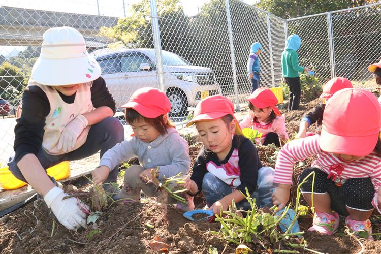 芋ほり2 芋ほり2