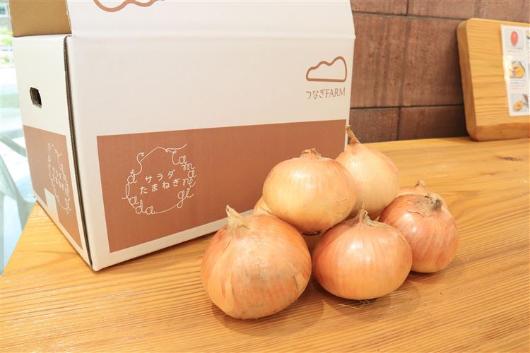 サラダたまねぎ サラダたまねぎ