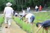 自然栽培米づくりワークショップ