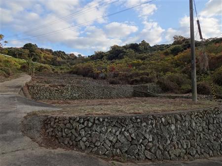 現地写真:物件番号3 現地写真:物件番号3