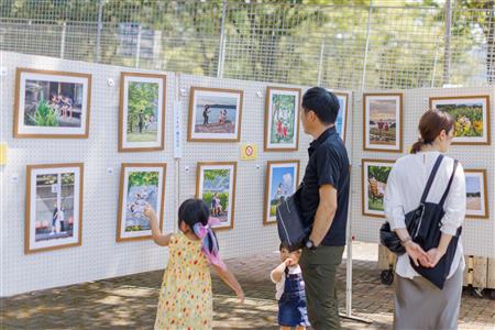 写真展「夏ものがたり 2024」 写真展「夏ものがたり 2024」